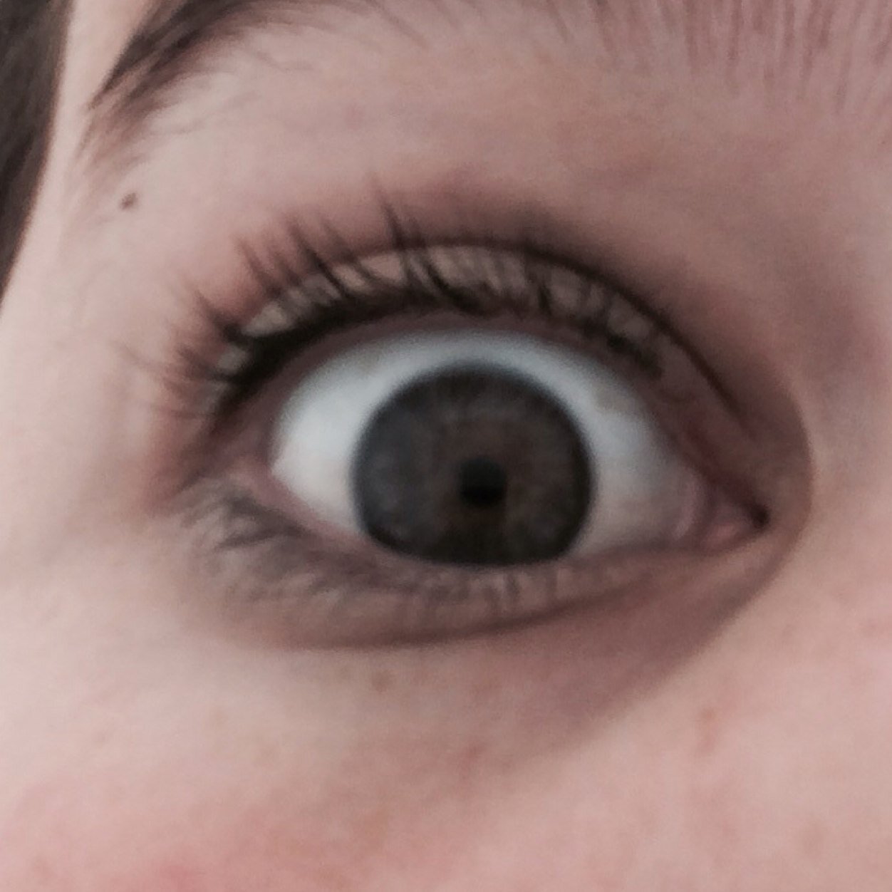 StaceyGreve's profile picture. Unofficial ruler of the world, design fanatic, music lover, and travel enthusiast.