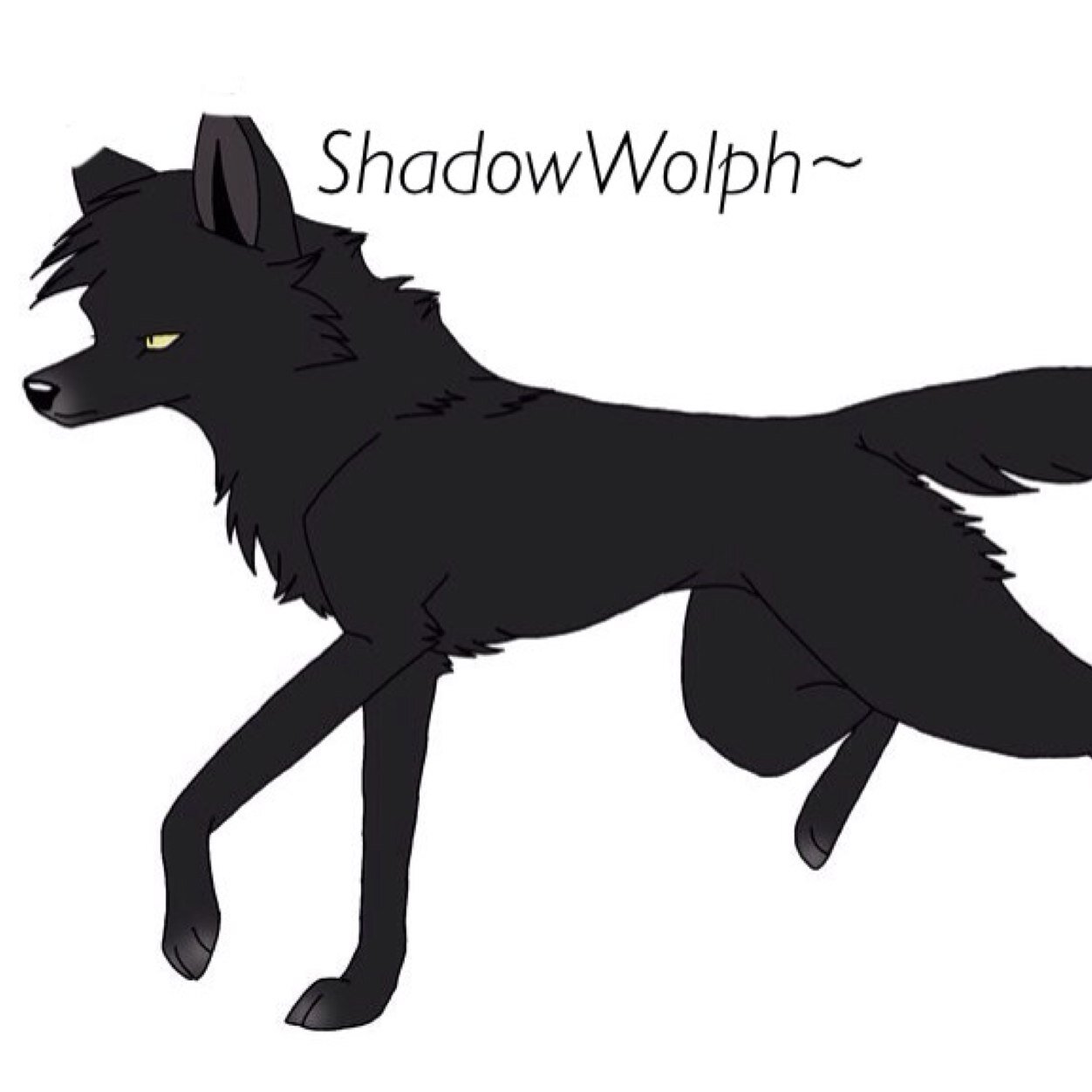 Mlp_ShadowWolph's profile picture. In the war of demons and angels. Who I love and protect @Mlp_Faith_. Dad @Mlp_ShadowWolf #Single #Bi