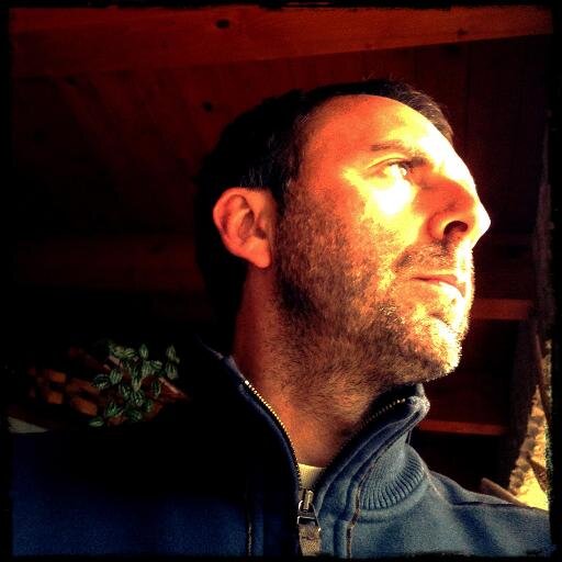 Freelance