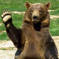 Камрад (@yourcomrad) 's Twitter Profile