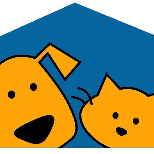 ARANIELSALVADOR's profile picture. Somos una asociacion  sin fines de lucro, establecida en el año 2003, que vela por el respeto y proteccion de todos los animales en El Salvador.