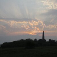 Nige Jarman (@nigejarman) 's Twitter Profile