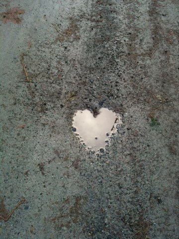 MsMichelleFox's profile picture. 