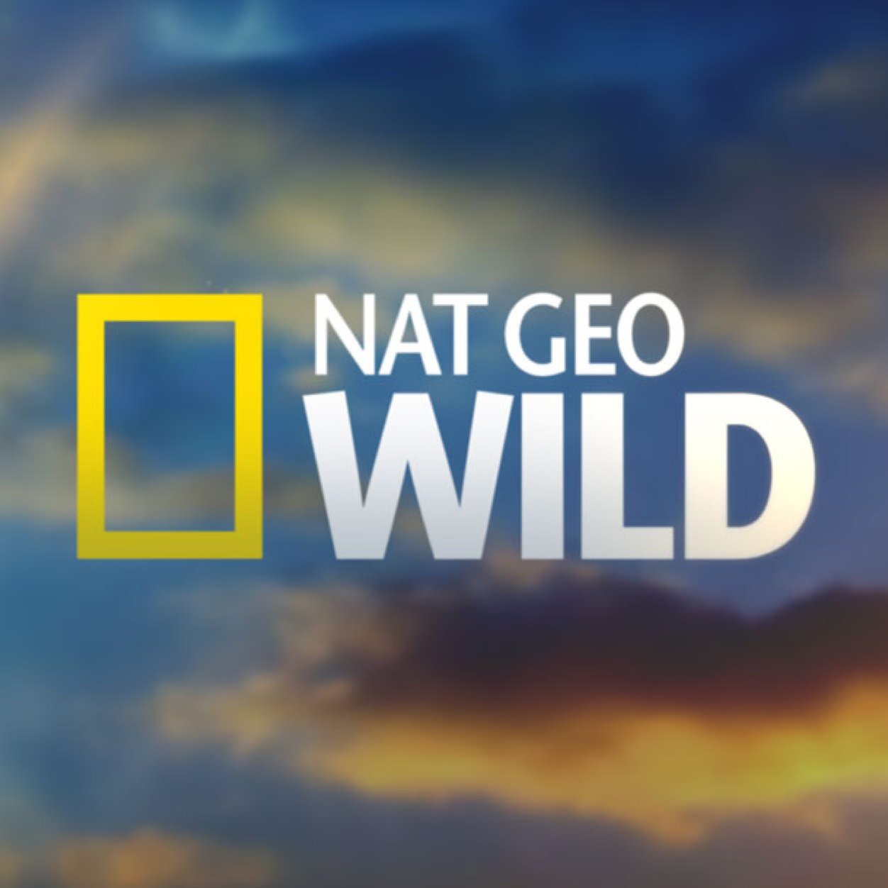 Since 1888, we've traveled the Earth, sharing its amazing stories with new generations. Unofficial Twitter account of National Geographic Wild.