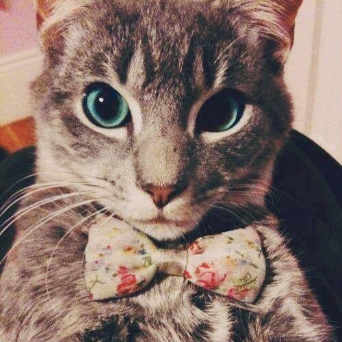 ouchloou's profile picture. 