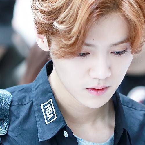 FOLLOW @southluhans instead of this account for 20 free follows! This serves as my followback too. ♡