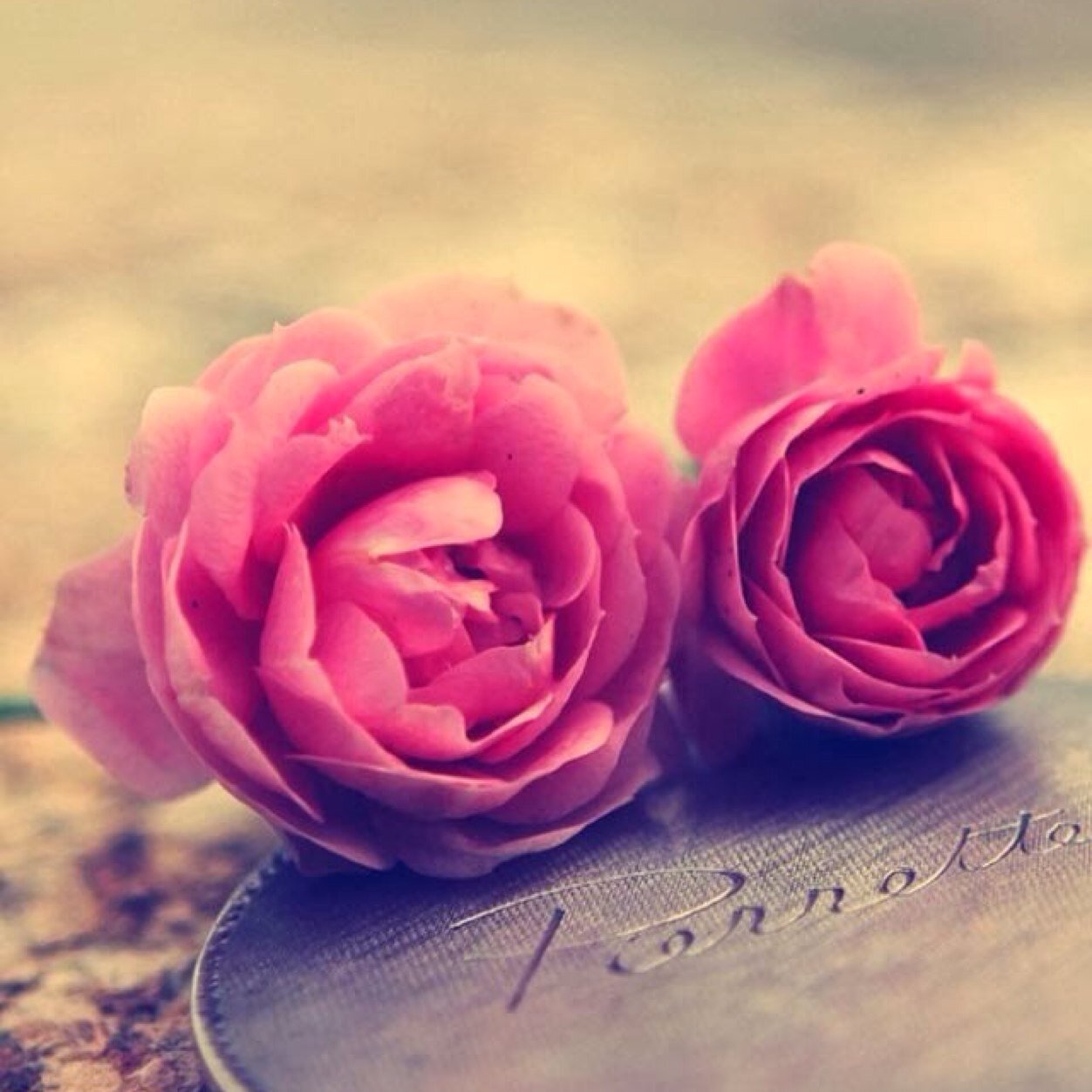 SweetColours4's profile picture. Somos 4 chicas de diferentes lugares, unidas por AURYN. Nuestro sueño es llegar a ser una Girl-Band, como Sweet California.