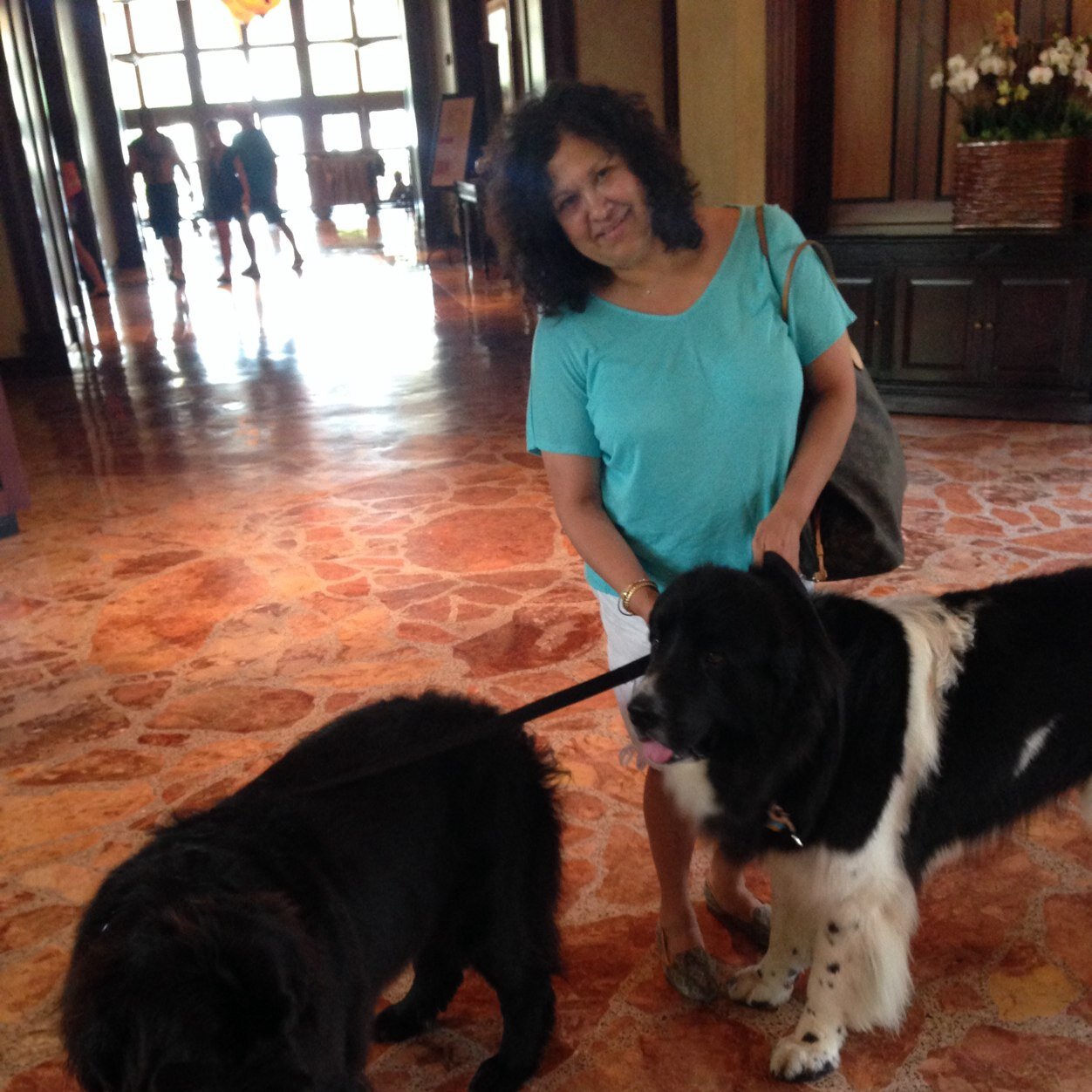 shoepaq's profile picture. Adrenaline junkie living the ALASKA dream, retired from BP now at Oil Search