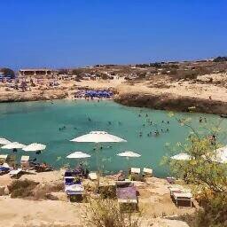 AndreaHolita's profile picture. 