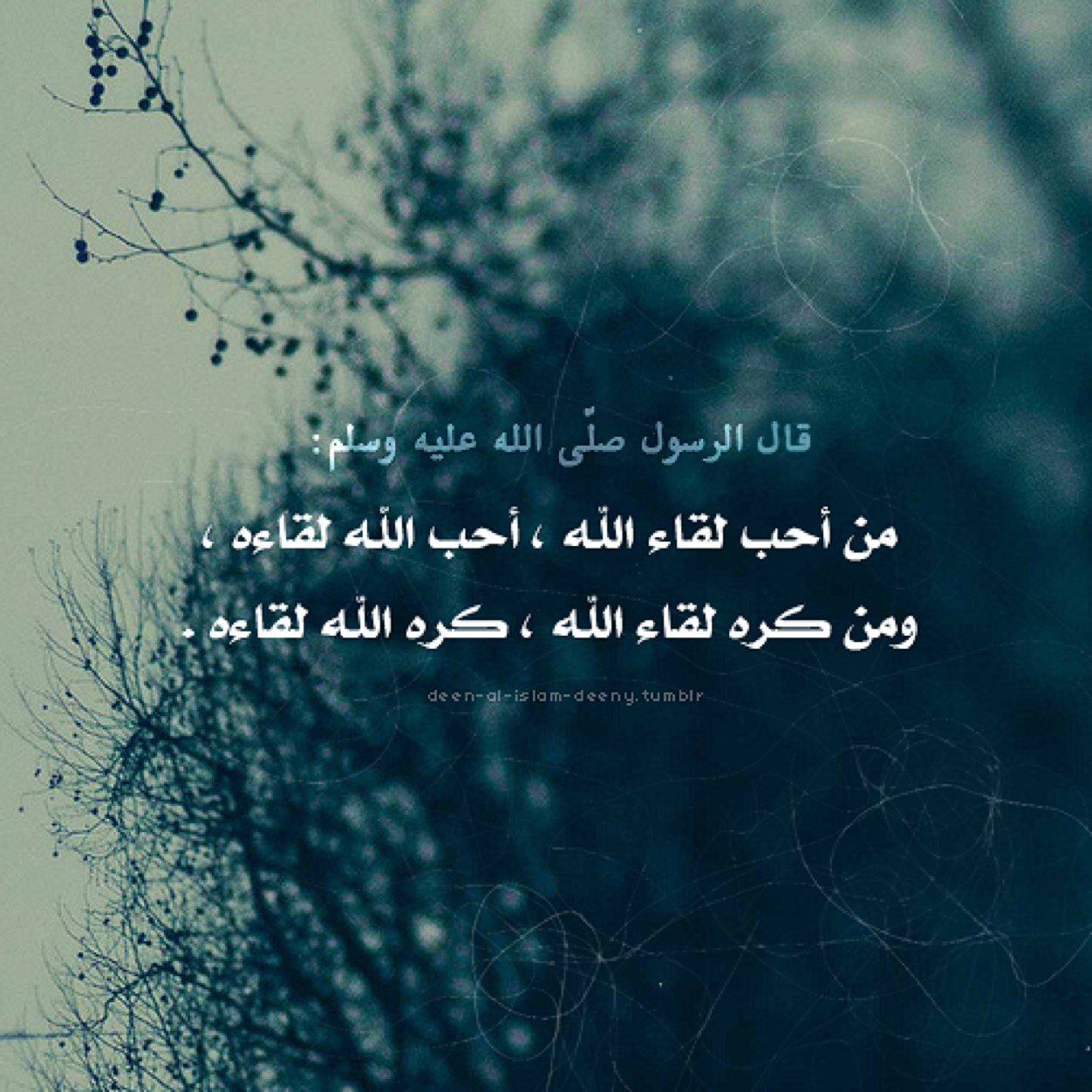 المملكه العربيه السعوديه .
-
تابعوني انستقرام : skar.nbat1456