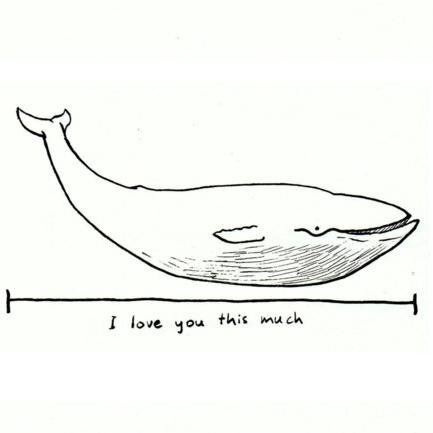 i followed you because you are perfect x.