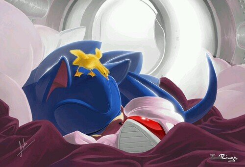Hello there There name Sonic The Hedgehog Mobius fastest Hedgie around. I love to eat Them Chilli Dogs so good and yummy.