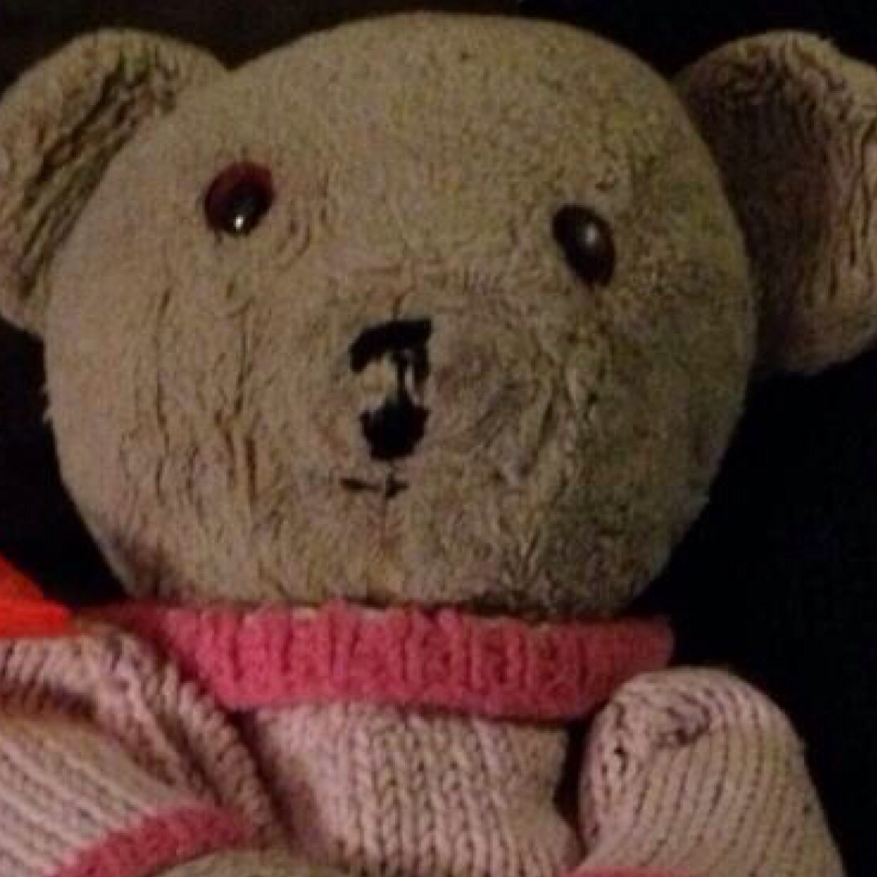 I am a beloved bear who tweets about bears some are beloved too some are not. I wear a pink sweater my great-grandma made with a P on it. Do you know me?