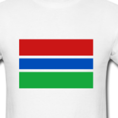 TheGambiaVoice's profile picture. #Gambia