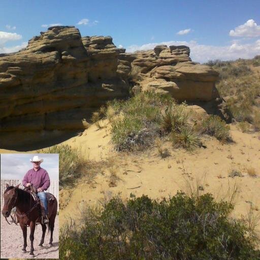 unacanta's profile picture. 