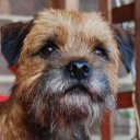 Norma Todd - @onmetodd - Twitter