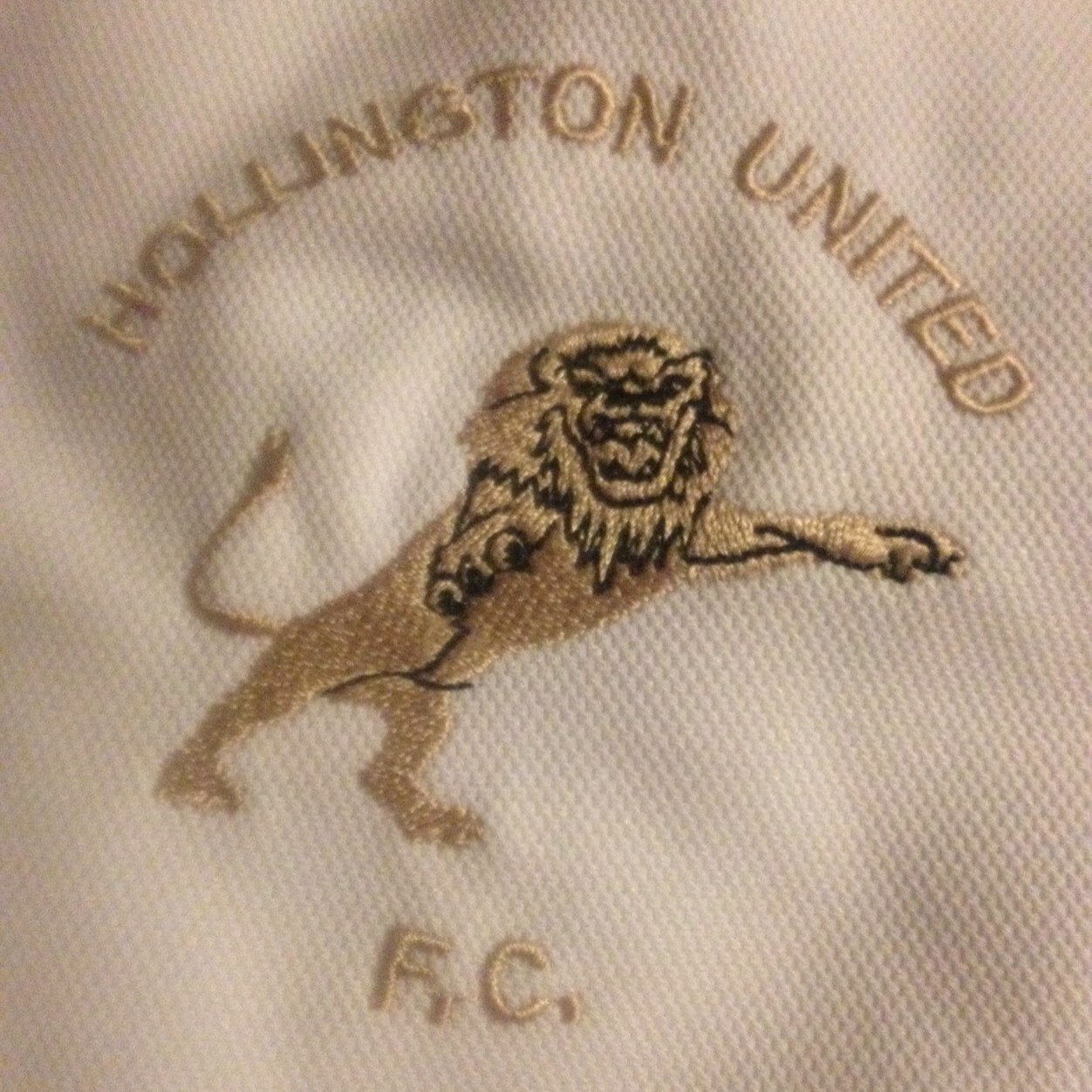 East Sussex Football league Premier Division Champions 2011/12, 2013/14 and Birchwood Group Challenge Cup Winners 2014!