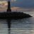 vivirmarbella's profile image