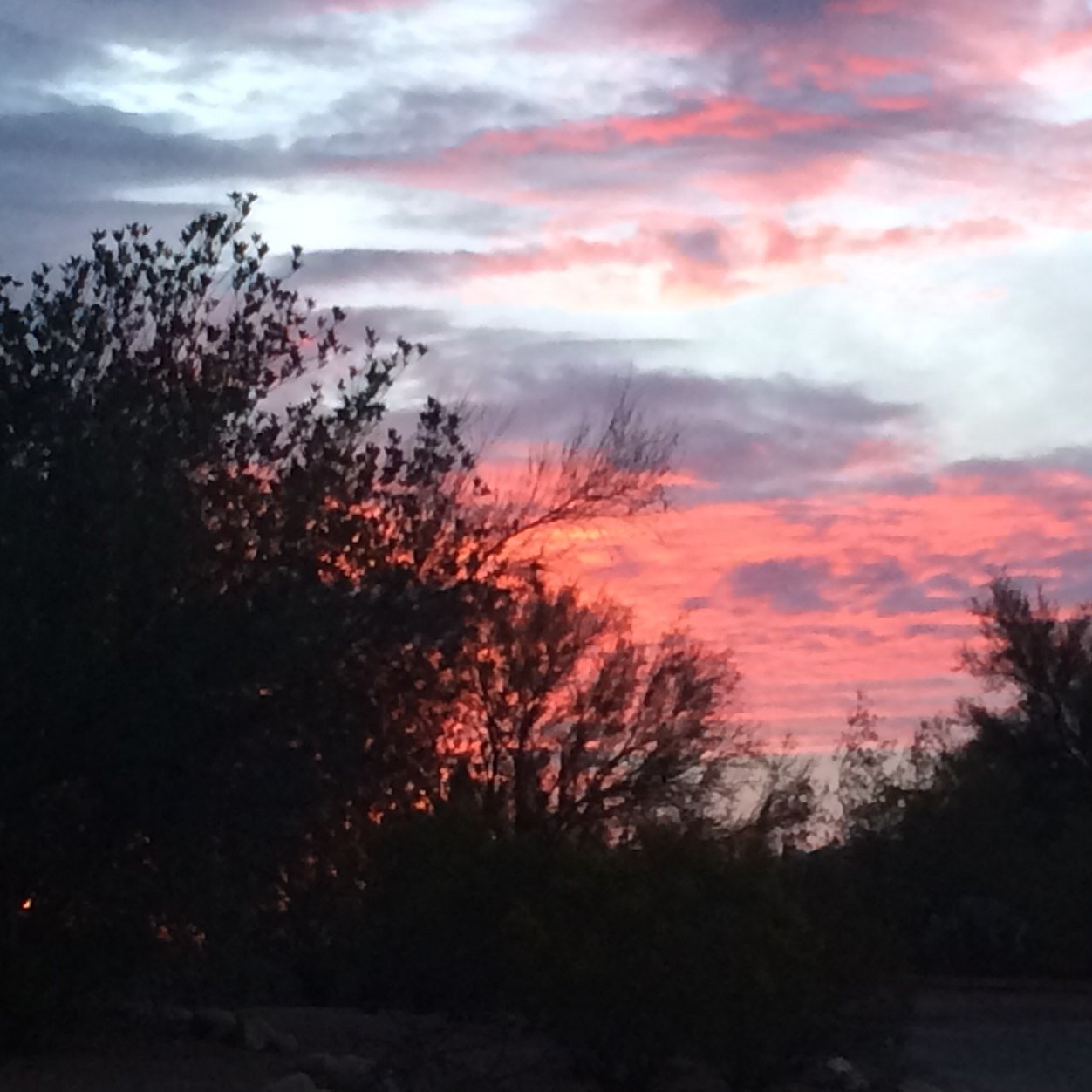 LydiaPurdom's profile picture. 