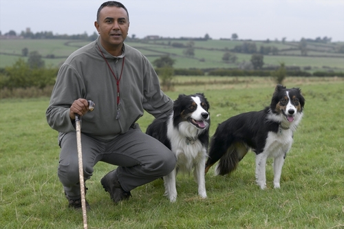 Competed in sheepdog trialling since 1992 - Author of Sheepdog and Trials 2010 & Practical Shepherding DVD. Prefer solving problems with dogs to selling