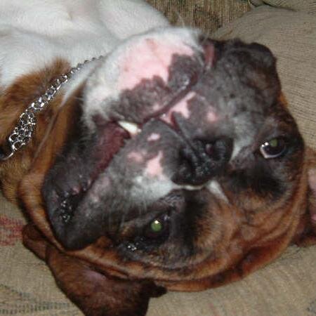 rolo519's profile picture. 