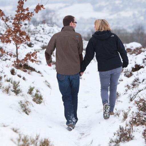 Jimmythetwitch's profile picture. seed planter, salad addict, view gawper , naturalist; ambition? to see every type of penguin in the world.