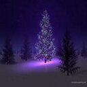 Lester Whitaker - @lesterwhit1652 - Twitter