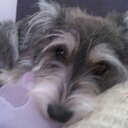 Anna Dziewa - @AnnaDziewa1 - Twitter