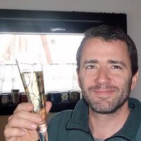 Julien Douady (@juliendouady) 's Twitter Profile