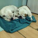 Luke Bryan - @lukejbryan - Twitter