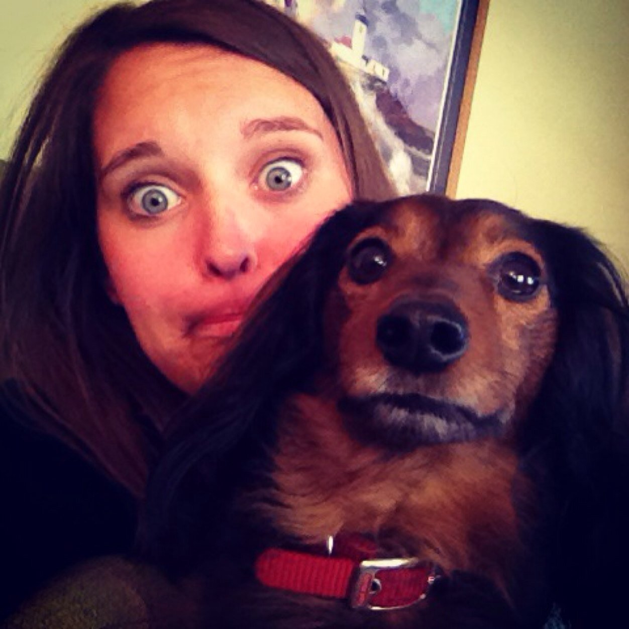 cargyros's profile picture. 