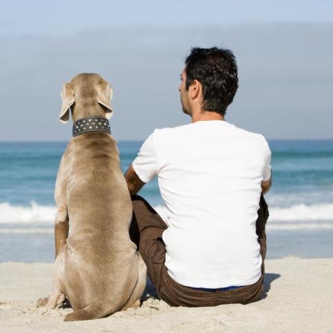 Not just man's best friend but life savers helping us all realize the important things in life are about unconditional love.
