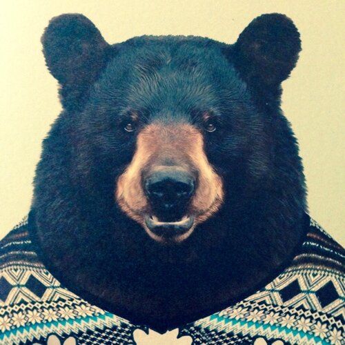 harrykirkham's profile picture. 