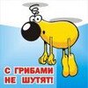 MaksOdnousov's profile picture. Ещё раз назовёшь меня курицей - я снесу тебе яйца!