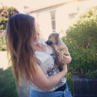 Bee_Jay007's profile picture. Life. Fast cars. Music. Adventure. Happiness. Tree hugger. Laughs. Live simply. '95.                          God first bro.         †      ig : biancajcoetzee