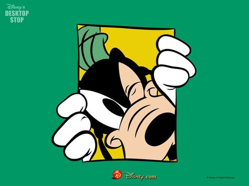 venkateshspv's profile picture. 