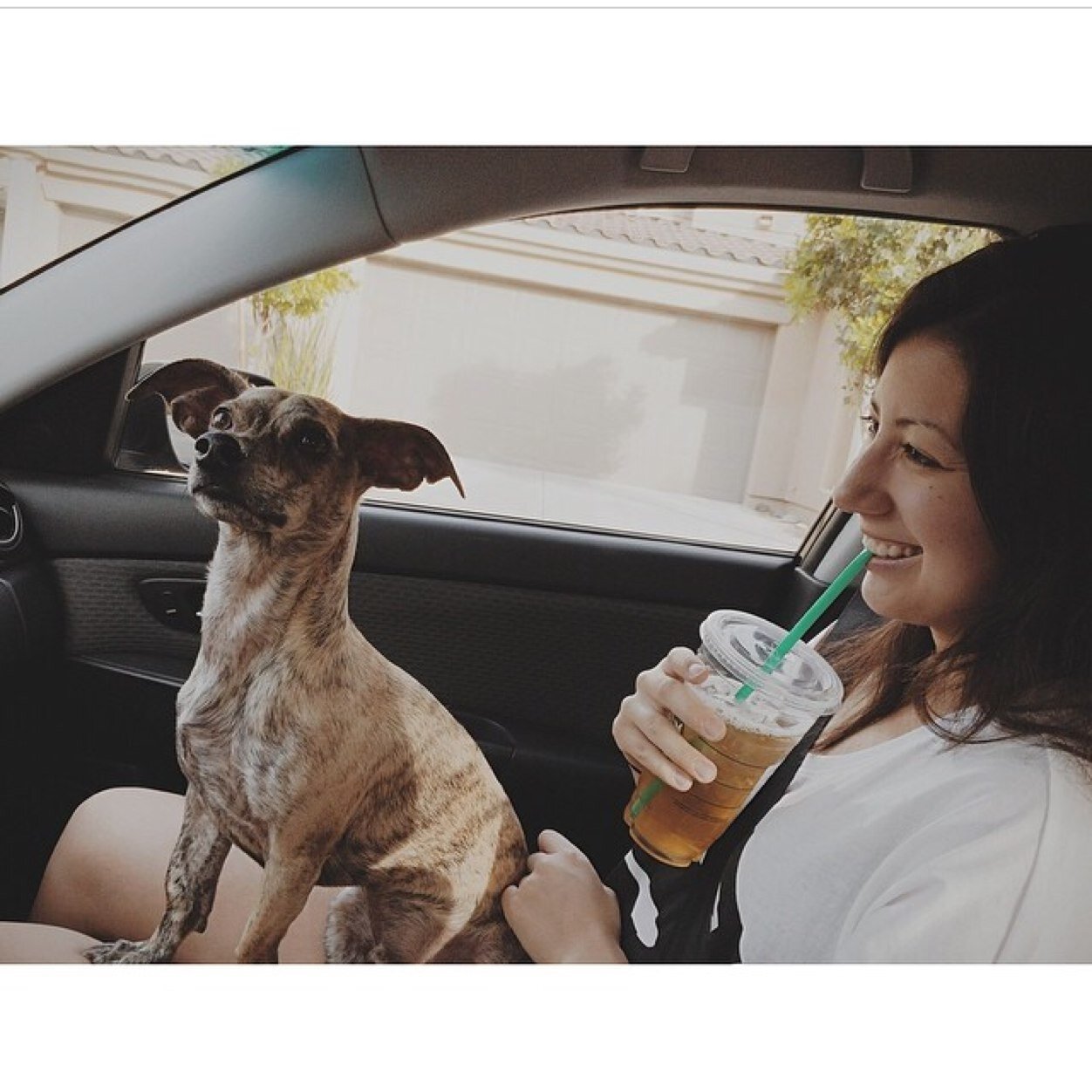 Whiskey & bitches.