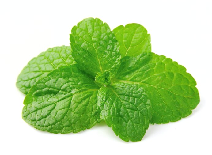 All things MInt, good for the body, mind and soul!