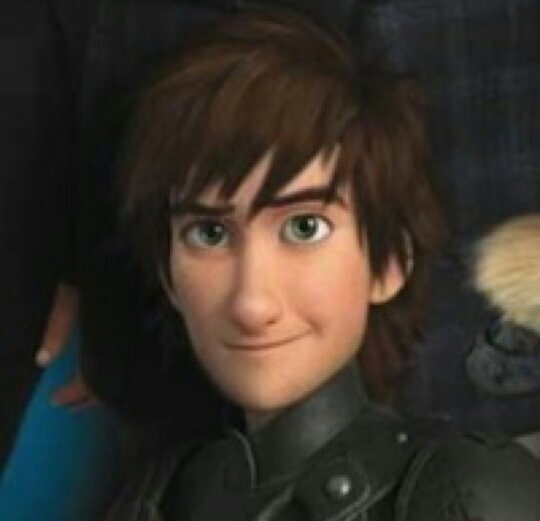 My name is Hiccup. I have a pet dragon. Don't touch him . #single