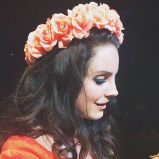 14/11/13 Saw lana live.