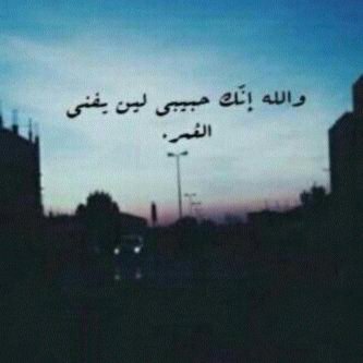 nooriu8's profile picture. 