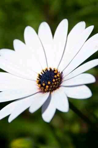 Macparry74's profile picture. 