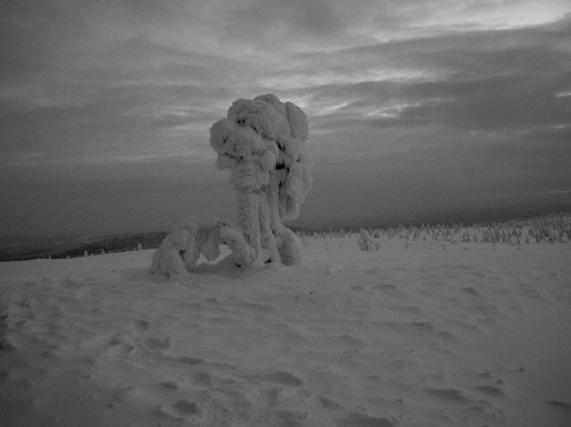 ioshuaaa's profile picture. Faith, Hope and Charity.