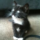 R.I.P CALEB LOGAN - @jeffsthaname - Twitter