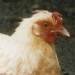 山田さんのプロフィール画像