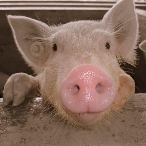 tnoda2k's profile picture. Software Engineer, Running, Sk8ing, Flexibility exercise, and Computer Games.