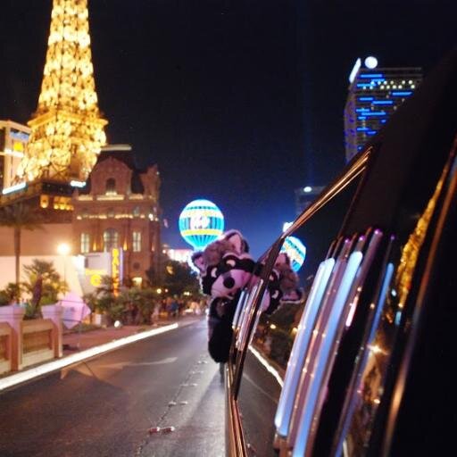 Instant information for the 2014 ESG Limousine Tour of Las Vegas!