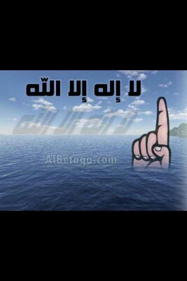 3abdallh300's profile picture. انا اخوه