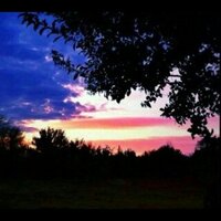 Tina Fulton (@tfulton87) 's Twitter Profile Photo Tina Fulton (@tfulton87) 's Twitter Profile Photo