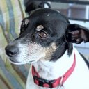 Jean Petty - @petty_jean - Twitter